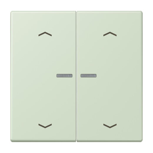 Jung Wippe mit Lichtleiter, mit Pfeilsymbolen für Taster 2fach, Serie LS, vert anglâis pale LC102KO5P218