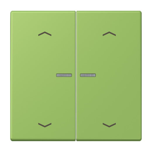 Jung Wippe mit Lichtleiter, mit Pfeilsymbolen für Taster 2fach, Serie LS, vert 31 LC102KO5P220