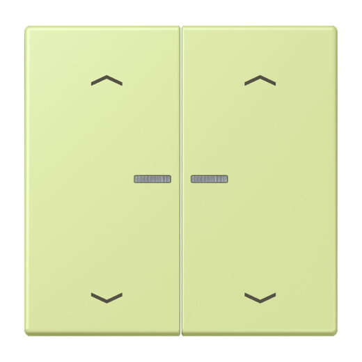 Jung Wippe mit Lichtleiter, mit Pfeilsymbolen für Taster 2fach, Serie LS, vert jaune clair LC102KO5P222