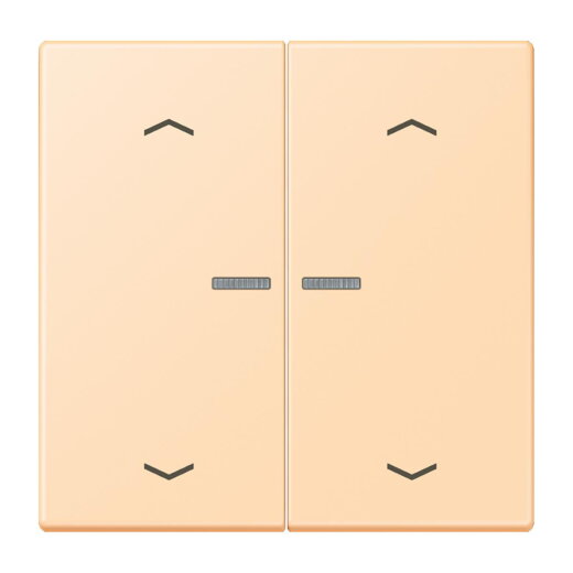 Jung Wippe mit Lichtleiter, mit Pfeilsymbolen für Taster 2fach, Serie LS, ocre LC102KO5P223