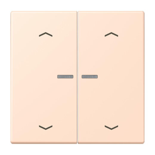 Jung Wippe mit Lichtleiter, mit Pfeilsymbolen für Taster 2fach, Serie LS, rose pâle LC102KO5P228