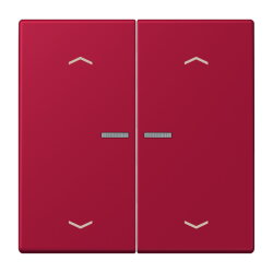 Jung Wippe mit Lichtleiter, mit Pfeilsymbolen für...