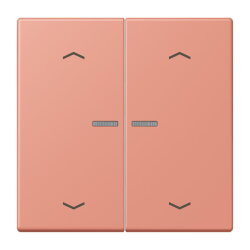 Jung Wippe mit Lichtleiter, mit Pfeilsymbolen für...