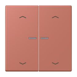 Jung Wippe mit Lichtleiter, mit Pfeilsymbolen für...