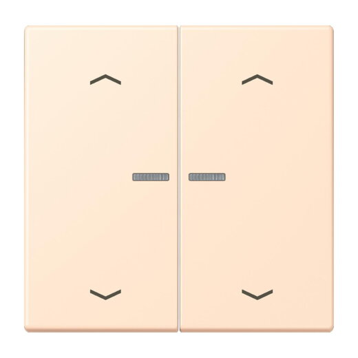 Jung Wippe mit Lichtleiter, mit Pfeilsymbolen für Taster 2fach, Serie LS, terre sienne pâle LC102KO5P238