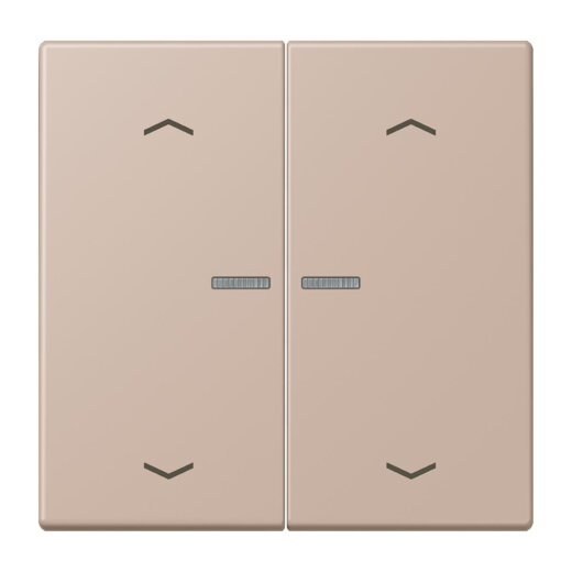 Jung Wippe mit Lichtleiter, mit Pfeilsymbolen für Taster 2fach, Serie LS, ombre br?lée claire LC102KO5P240