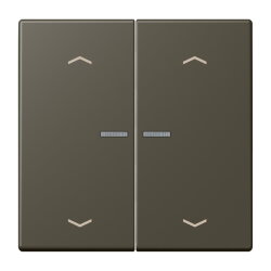 Jung Wippe mit Lichtleiter, mit Pfeilsymbolen für...