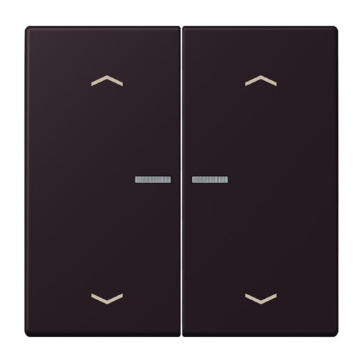 Jung Wippe mit Lichtleiter, mit Pfeilsymbolen für Taster 2fach, Serie LS, noir divoire LC102KO5P248