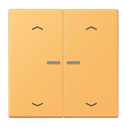 Jung Wippe mit Lichtleiter, mit Pfeilsymbolen für Taster 2fach, Serie LS, ocre jaune clair LC102KO5P254