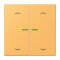 Jung Wippe mit Lichtleiter, mit Pfeilsymbolen für Taster 2fach, Serie LS, ocre jaune clair LC102KO5P254
