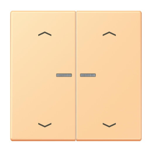 Jung Wippe mit Lichtleiter, mit Pfeilsymbolen für Taster 2fach, Serie LS, terre sienne claire 59 LC102KO5P258