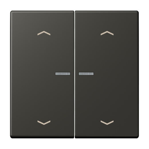 Jung Wippe mit Lichtleiter, mit Pfeilsymbolen für Taster 2fach, Serie LS, ombre naturelle 59 LC102KO5P259