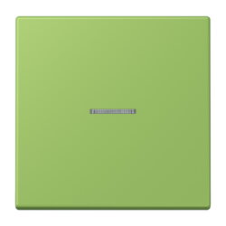 Jung Wippe mit Lichtleiter für Taster 1fach, Serie...