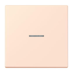 Jung Wippe mit Lichtleiter für Taster 1fach, Serie...