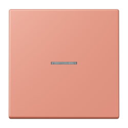 Jung Wippe mit Lichtleiter für Taster 1fach, Serie...