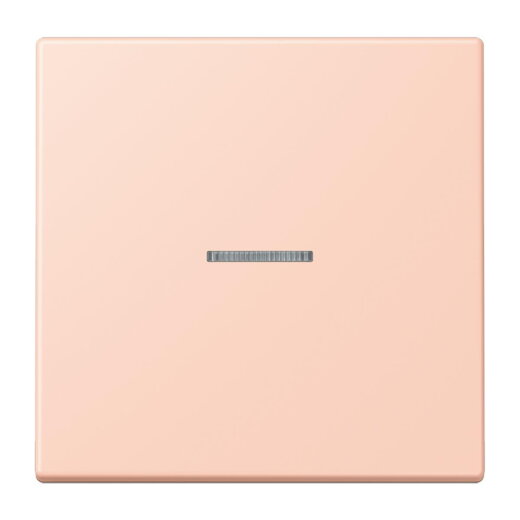 Jung Wippe mit Lichtleiter für Taster 1fach, Serie LS, locre rouge clair LC101KO5234