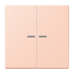 Jung Wippe mit Lichtleiter für Taster 2fach, Serie...