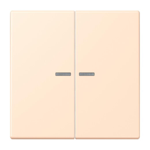 Jung Wippe mit Lichtleiter für Taster 2fach, Serie LS, terre sienne pâle LC102KO5238