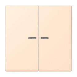 Jung Wippe mit Lichtleiter für Taster 2fach, Serie...