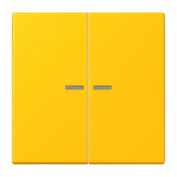 Jung Wippe mit Lichtleiter für Taster 2fach, Serie...