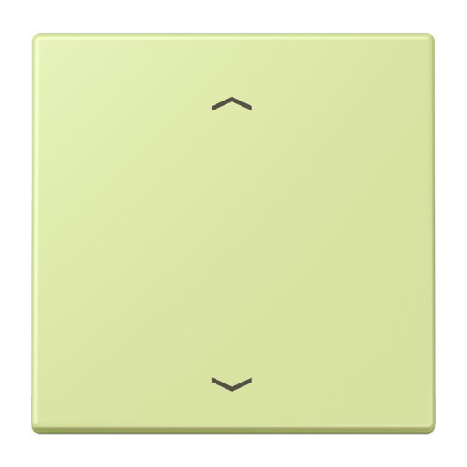 Jung Wippe, mit Pfeilsymbolen für Taster 1fach, Serie LS, vert jaune clair LC101P222