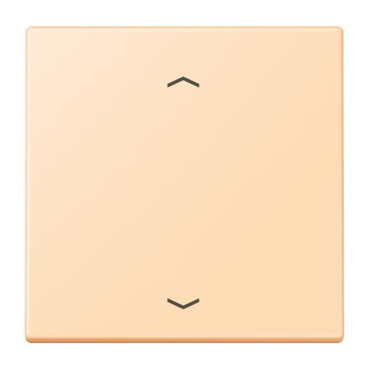 Jung Wippe, mit Pfeilsymbolen für Taster 1fach, Serie LS, ocre LC101P223