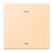 Jung Wippe, mit Pfeilsymbolen für Taster 1fach, Serie LS, ocre LC101P223