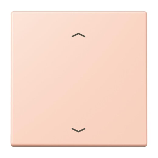 Jung Wippe, mit Pfeilsymbolen für Taster 1fach, Serie LS, locre rouge clair LC101P234