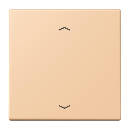 Jung Wippe, mit Pfeilsymbolen für Taster 1fach, Serie LS, terre sienne claire 31 LC101P237