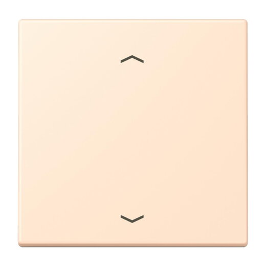 Jung Wippe, mit Pfeilsymbolen für Taster 1fach, Serie LS, terre sienne pâle LC101P238