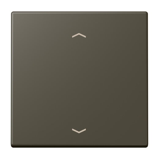 Jung Wippe, mit Pfeilsymbolen für Taster 1fach, Serie LS, ombre naturelle 31 LC101P241