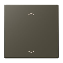 Jung Wippe, mit Pfeilsymbolen für Taster 1fach,...