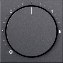 Gira Abd. RTR Kontroll System 55 Anthrazit 270228