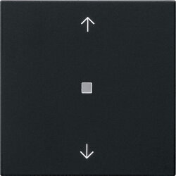 Gira S3000 Bedienaufs. BT Pfeile System 55 Schwarz m 5382005