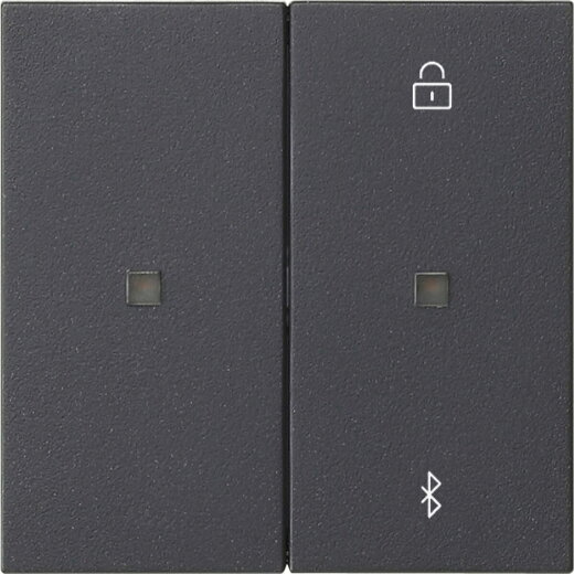 Gira S3000 Jal.-/Schaltuhr BT System 55 Anthrazit 538128