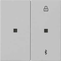 Gira S3000 Jal.-/Schaltuhr BT System 55 Grau m 5381015