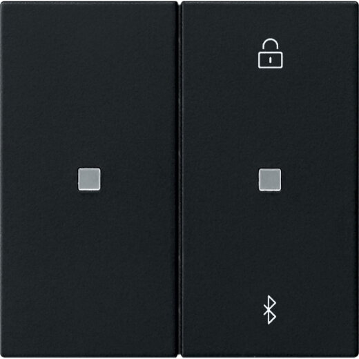 Gira S3000 Jal.-/Schaltuhr BT System 55 Schwarz m 5381005