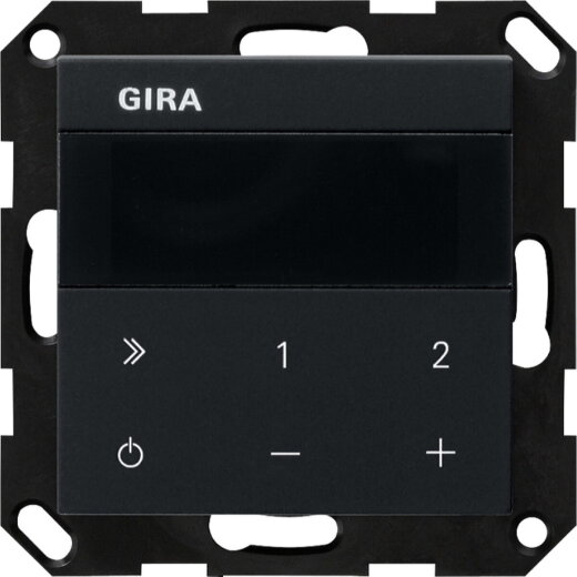 Gira UP-Radio IP System 55 Schwarz m 2320005