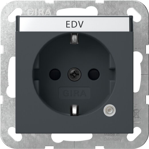 Gira SCHUKO Kontroll + BSF System 55 Anthrazit 445228