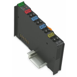 WAGO 2-Kanal-Analogeingang Thermoelement Einstellbar...