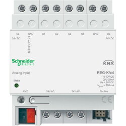 Schneider Electric Analogeingang