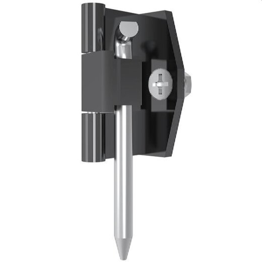 ABN Türscharnier GWS25 f.SE- und SP- Gehäuse GWS25