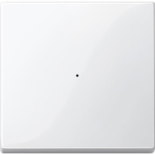 ELSO Wippe für Taster-Modul 1fach reinweiß