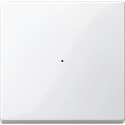 ELSO Wippe für Taster-Modul 1fach reinweiß