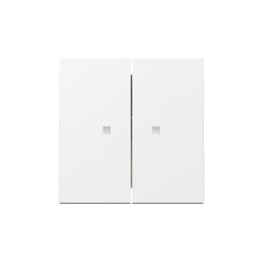 Gira Wippe 363103 2f Kontrollf.Sys.55 rws