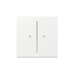 Gira Wippe 363103 2f Kontrollf.Sys.55 rws