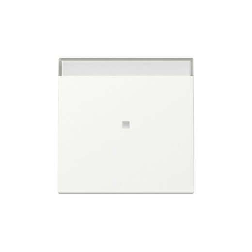 Gira Wippe 367027 Kontrollf.+BSF Sys.55 rws m