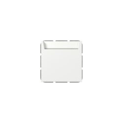 Gira Hotel Card Wechsler 314027 bel.BSF Sys.55 rws m