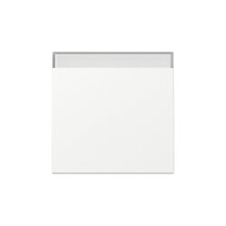 Gira Wippe 329927 BSF Sys.55 rws m