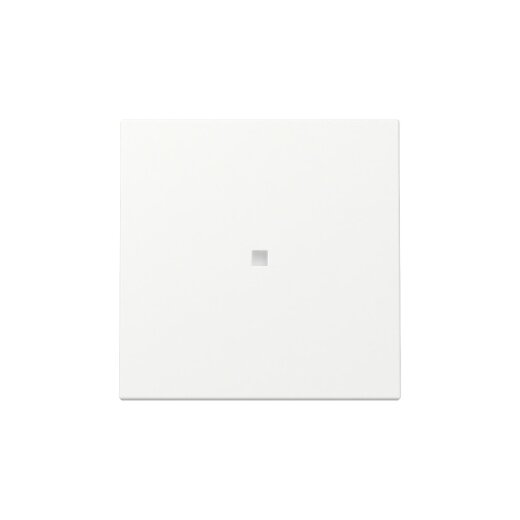 Gira Wippe 329027 Kontrollf.Sys.55 rws m